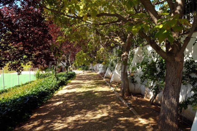 Finca Cerro Del Moro Albarreal de Tajo Exterior photo